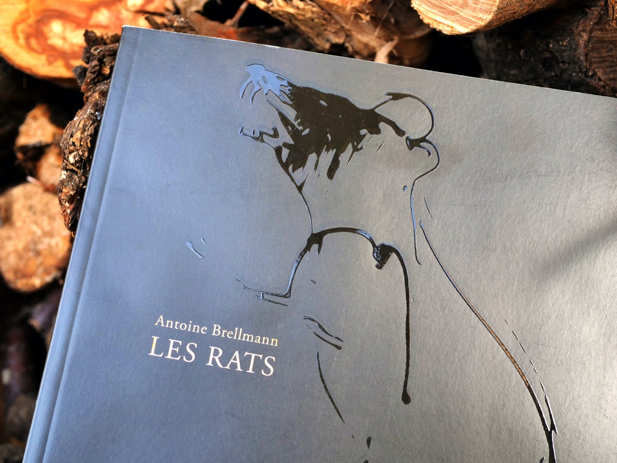 Antoine Brellmann, livres d'art