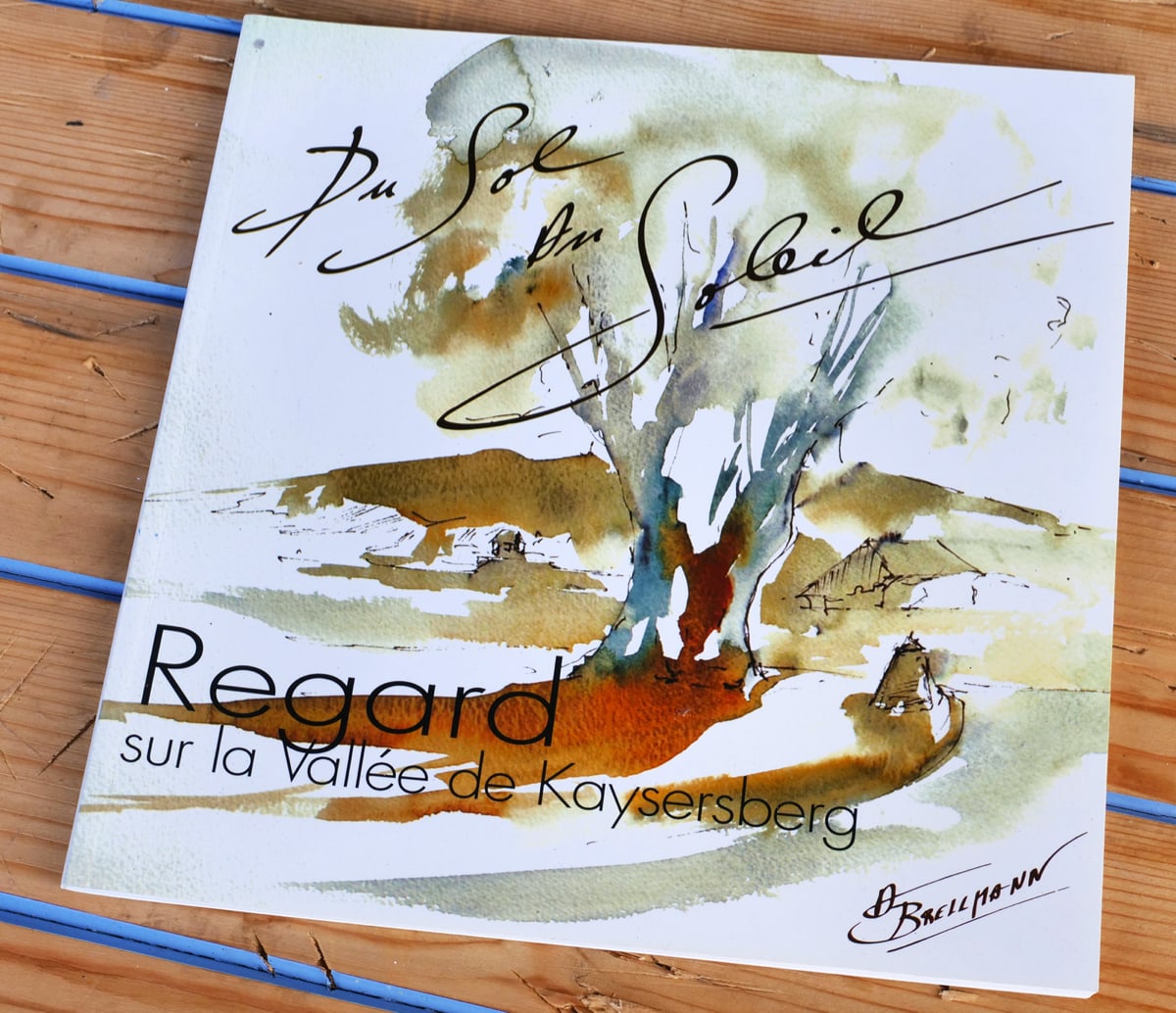 Antoine Brellmann, livres d'art