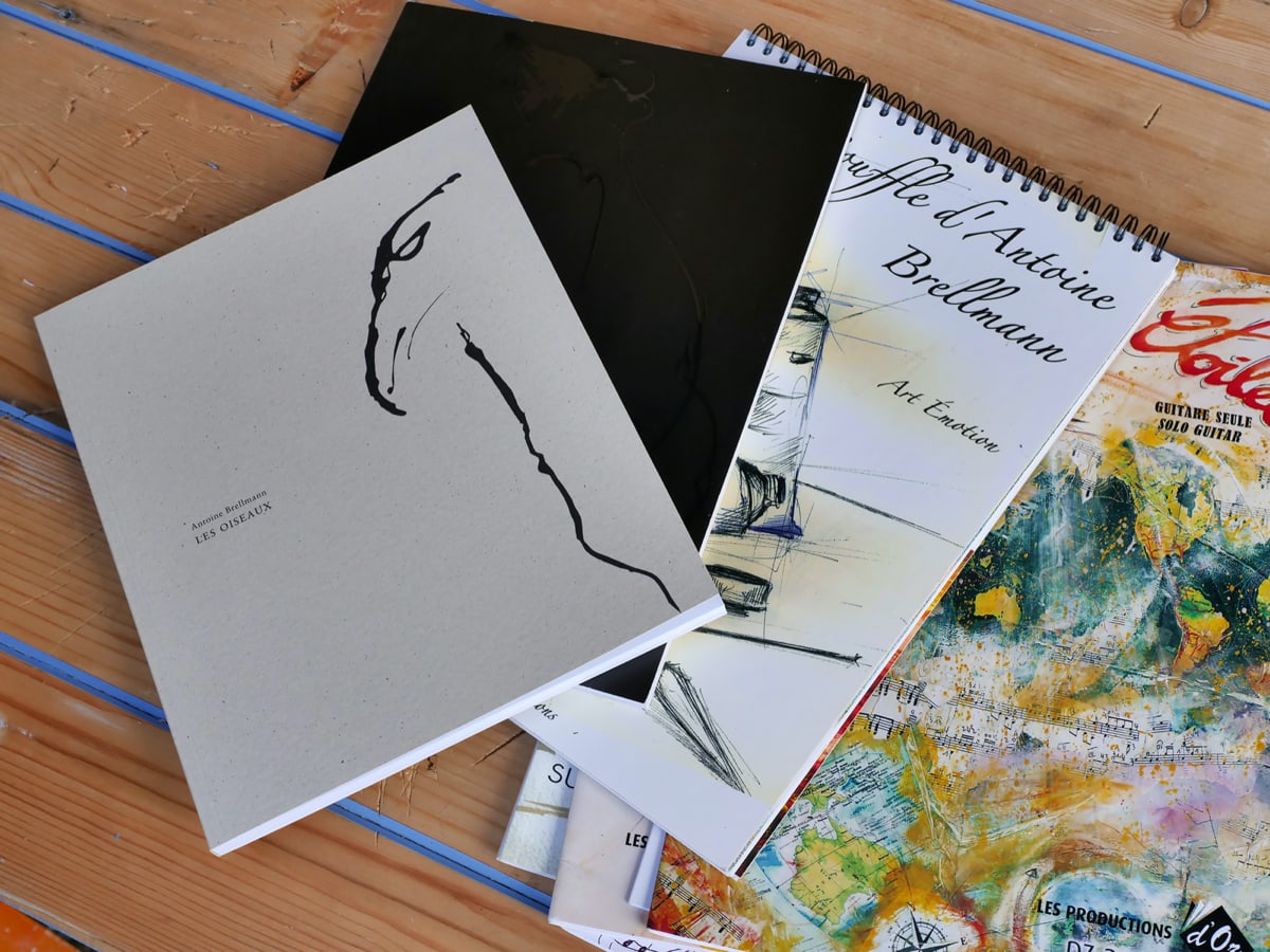 Antoine Brellmann, livres d'art