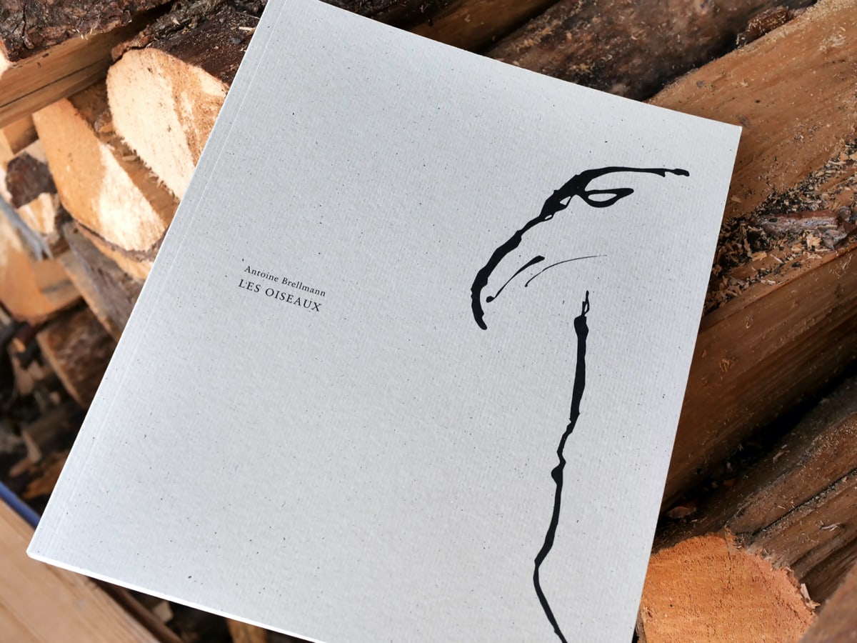 Antoine Brellmann, livres d'art