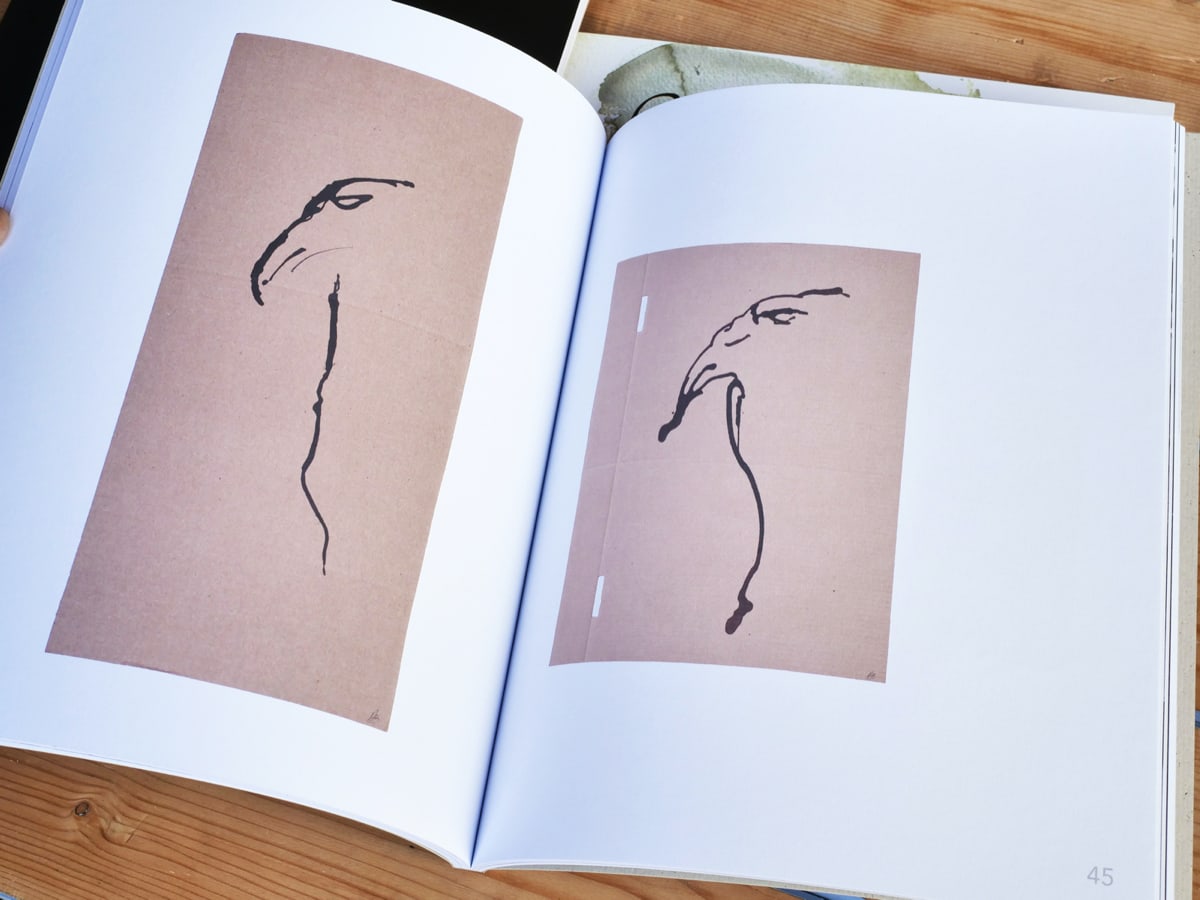 Antoine Brellmann, livres d'art